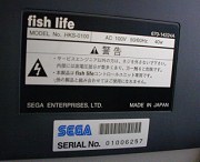 背面