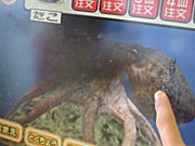 タコといえばスミ