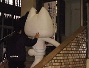 wgQ